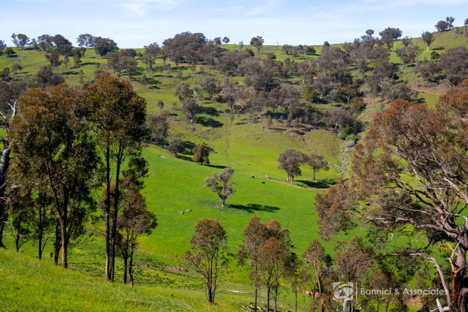 Additional image 5 of "SIRLS" Bethanga Bay Road, Bethanga VIC 3691