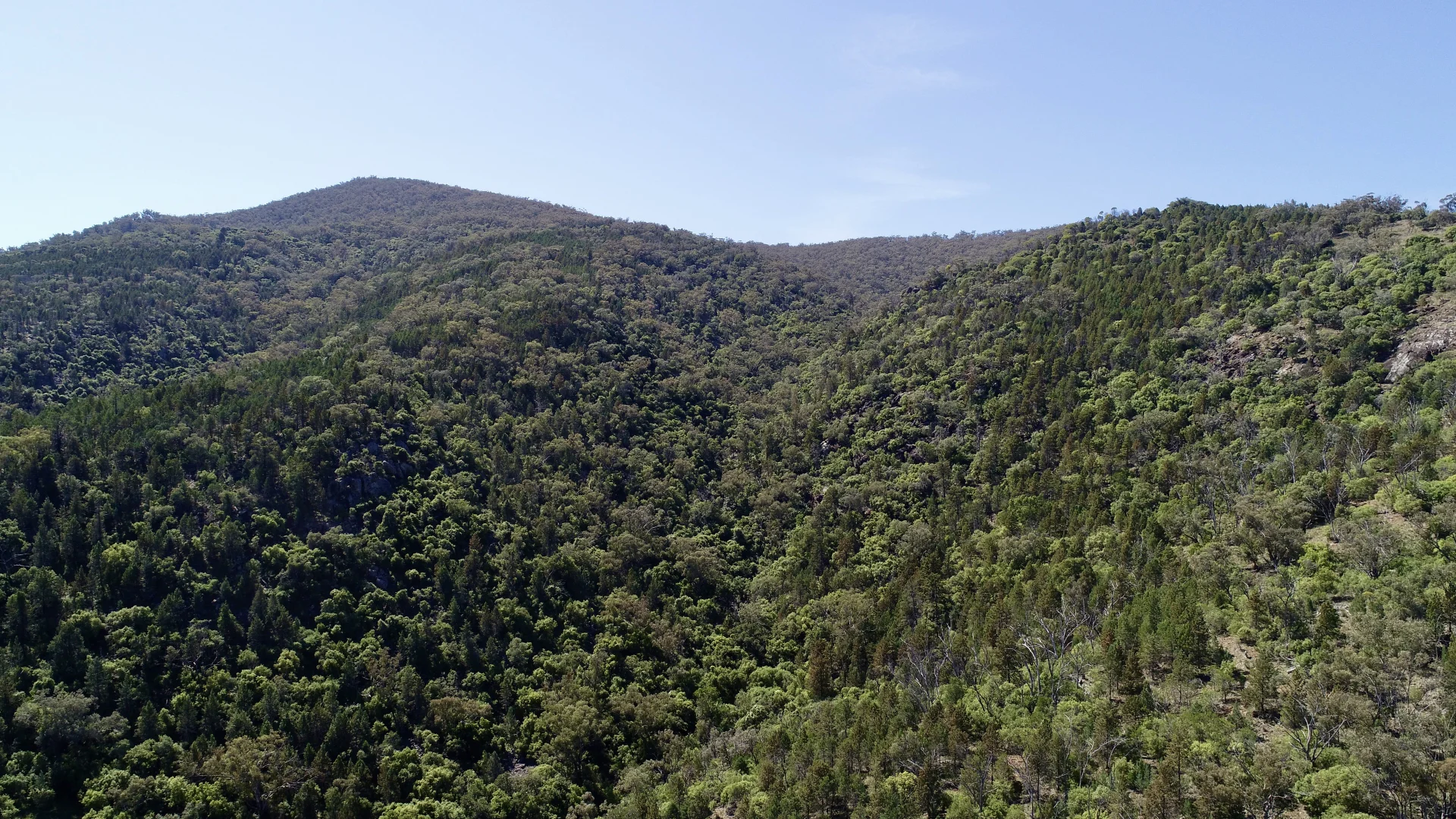 Additional image 3 of 34 Joshua Place, Moore Creek NSW 2340