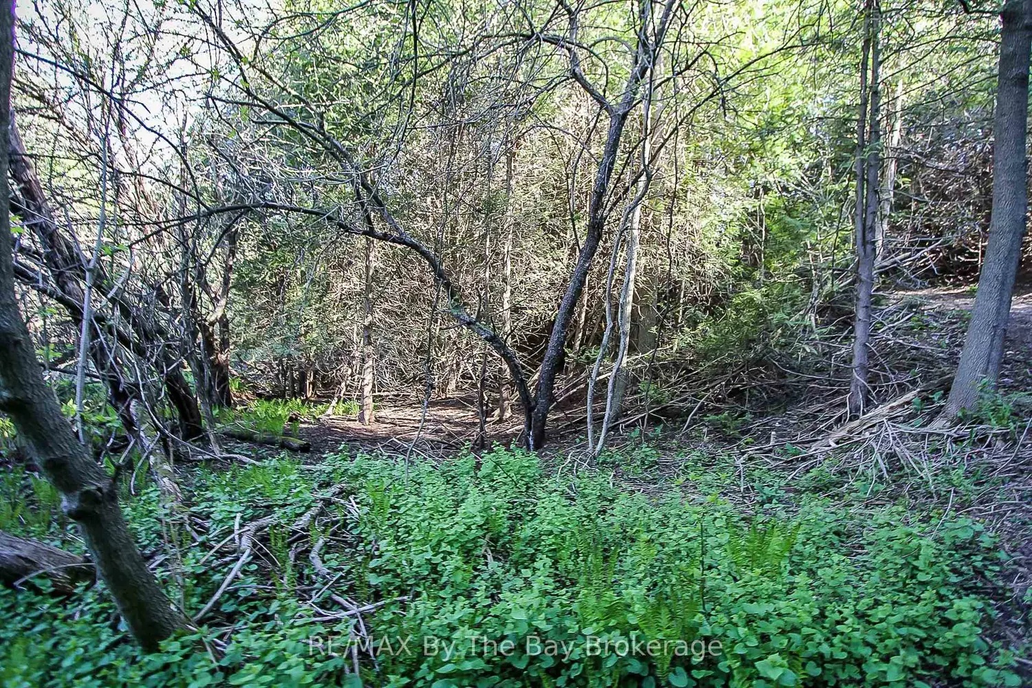 Additional image 19 of 630 Sunnidale Road