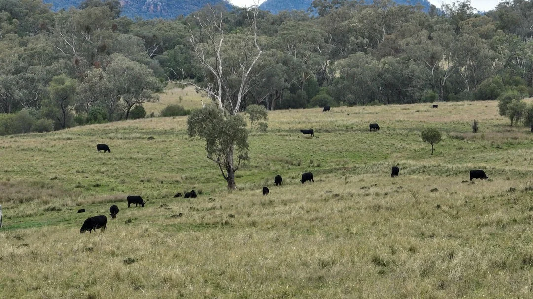Additional image 15 of The Glen, Berrigal NSW 2390