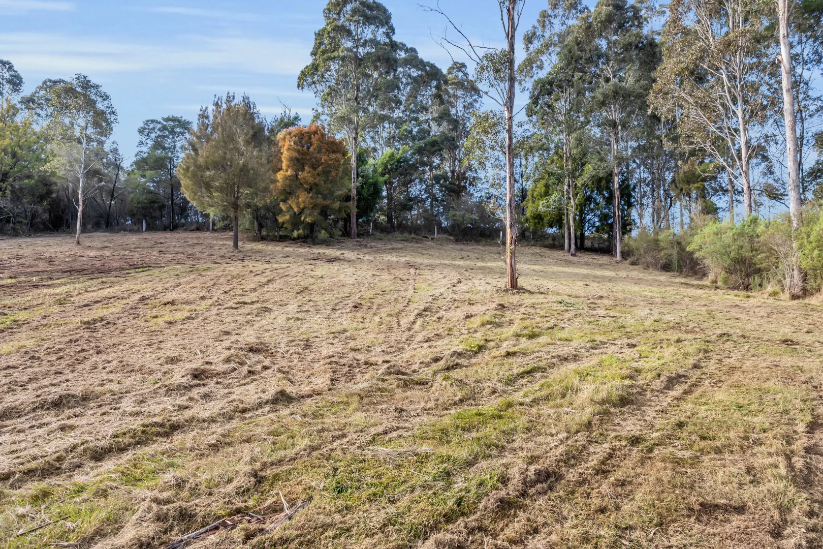 Additional image 2 of 231 Back Creek Road, Nethercote NSW 2549