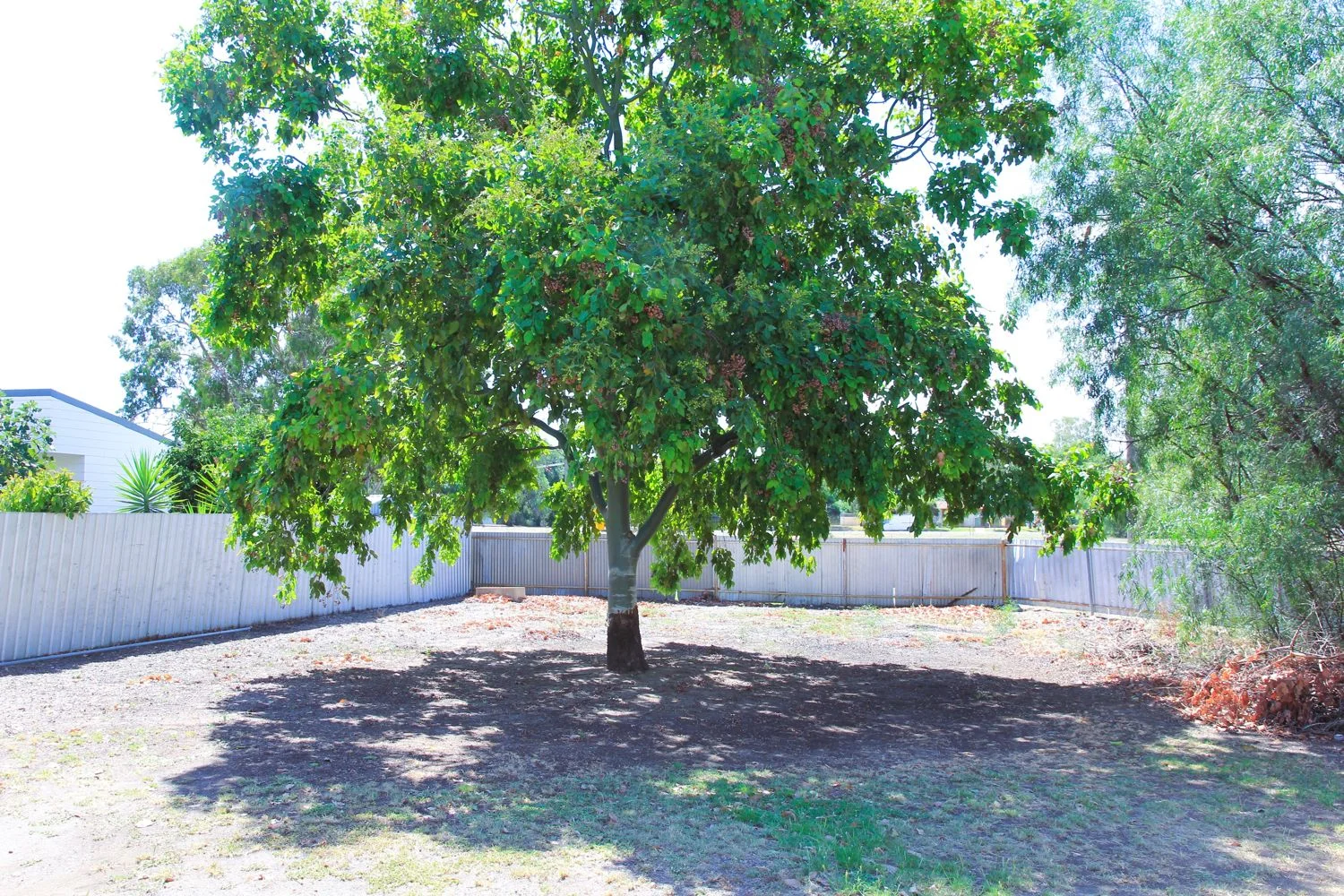 Additional image 7 of 1 Cross Street, Moree NSW 2400