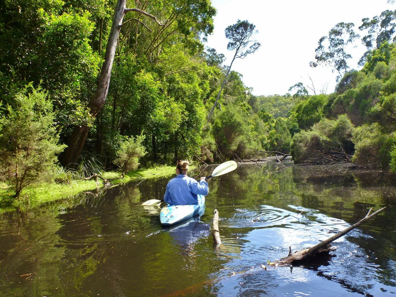 Additional image 19 of 59B Burgess Track, Wallagaraugh, Genoa VIC 3891
