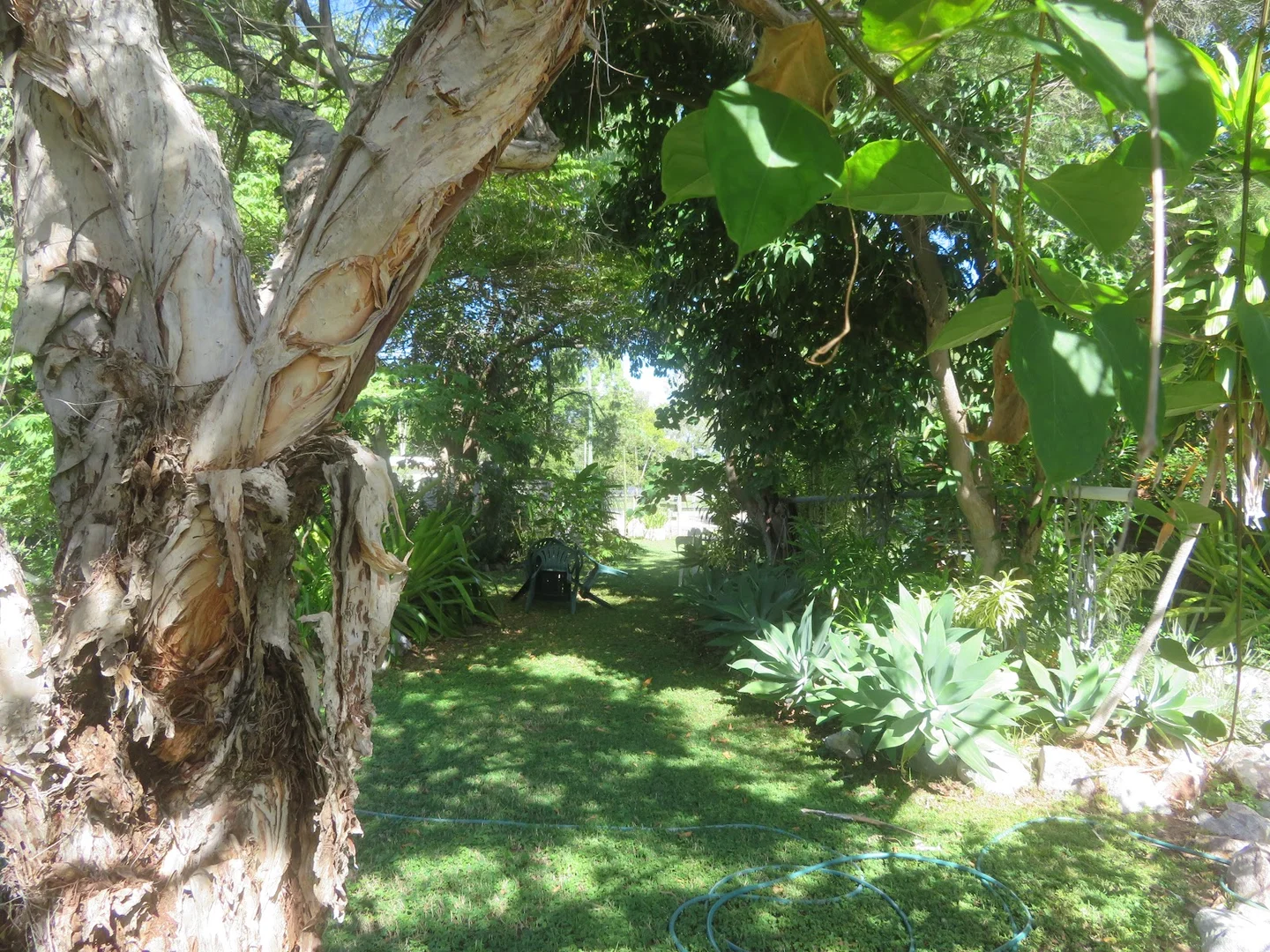 Additional image 16 of 29-31 Queen Street, Chillagoe QLD 4871