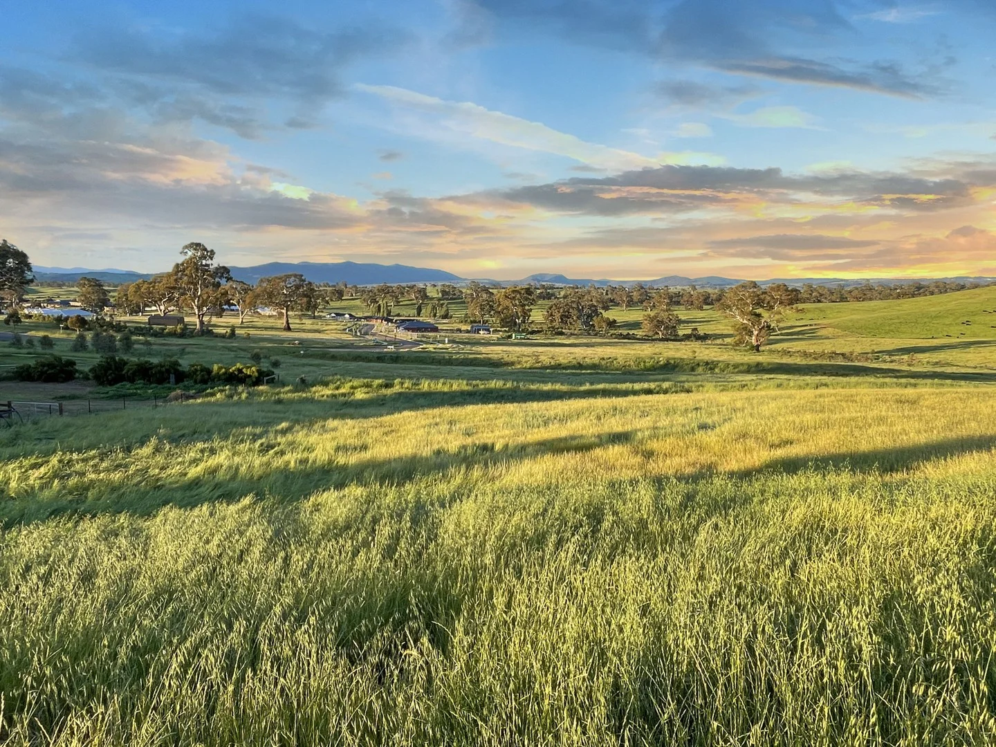 69 Donovans Way, Mansfield VIC 3722