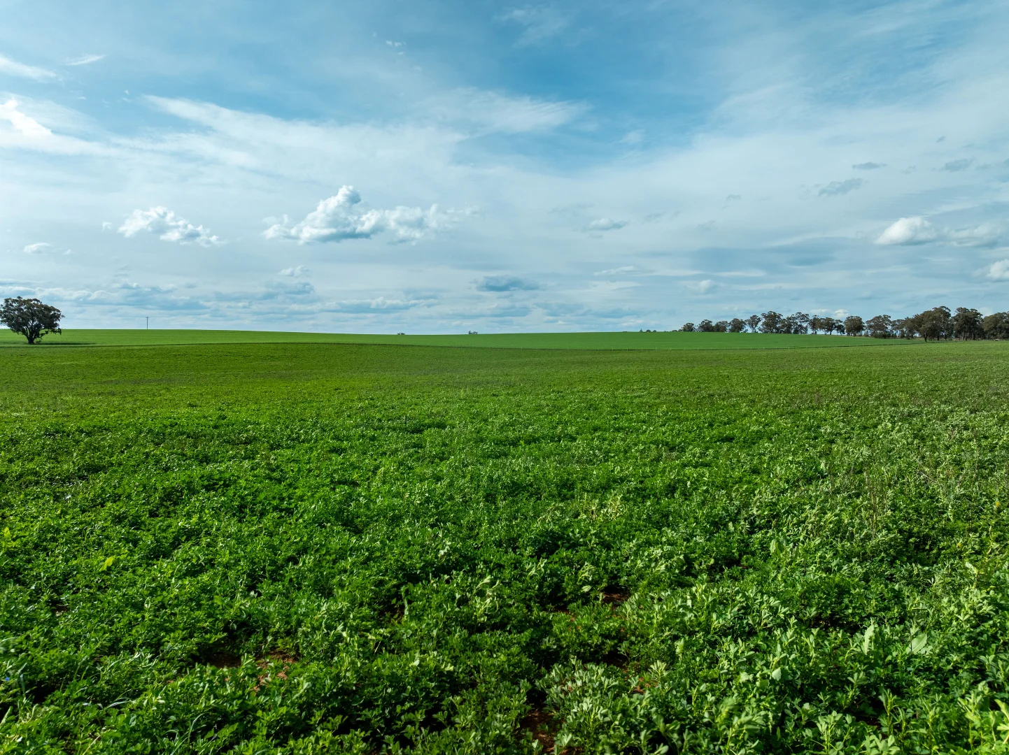 Additional image 25 of 90 Kilnyana Road, Savernake NSW 2646