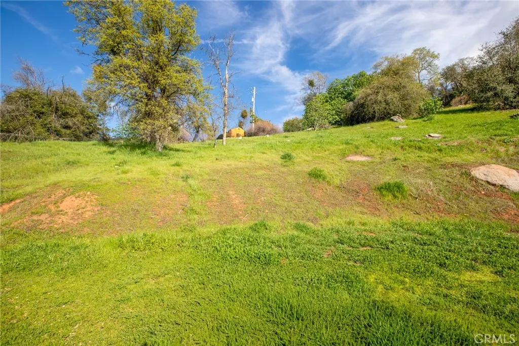 Additional image 56 of 49980 Daffodil Ln, Squaw Valley, CA 93675