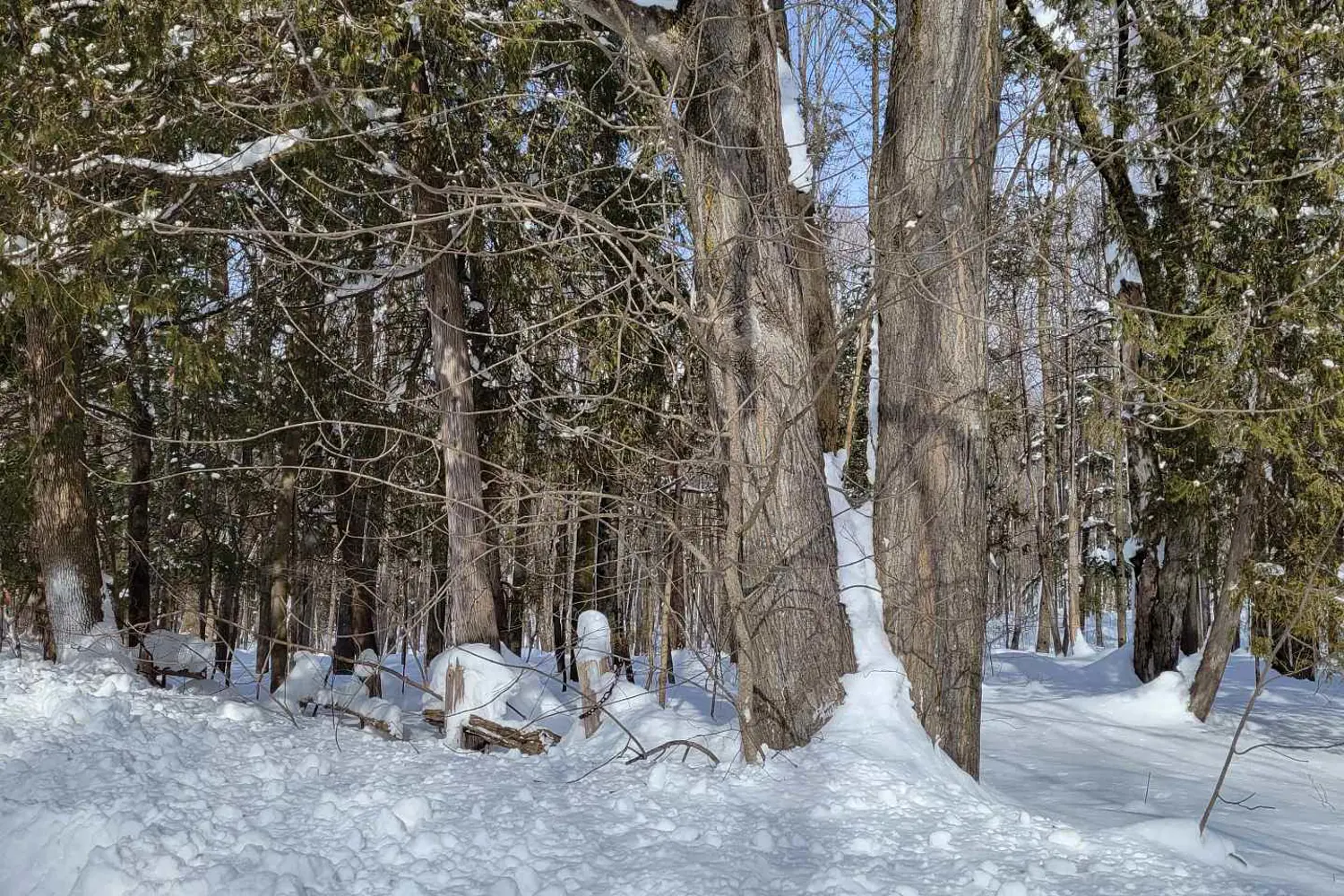 Additional image 2 of Ptlt 26 Mulock Road