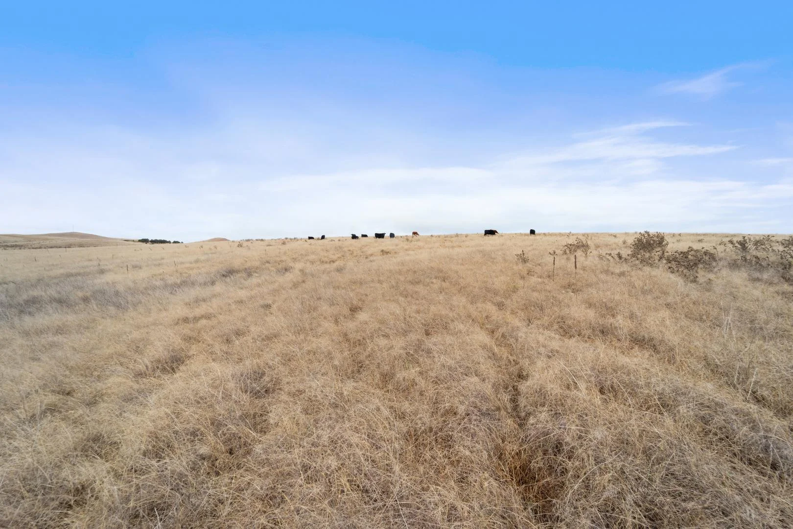 Additional image 10 of Lot 2 Monaro Highway, Bunyan NSW 2630