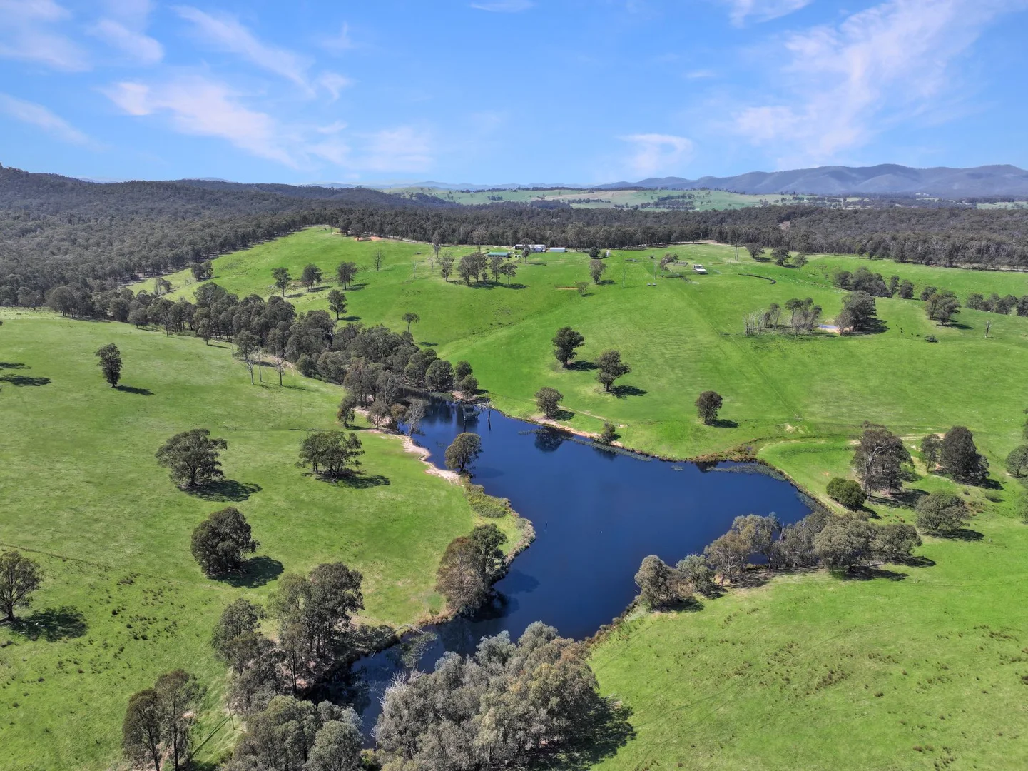 Additional image 19 of 151 Wattle Hill Road, Buchan South VIC 3885