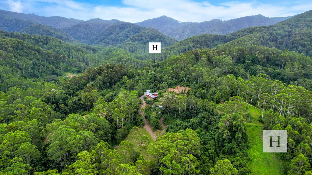 Additional image 3 of 426 Mount Coxcombe Road, Upper Lansdowne NSW 2430