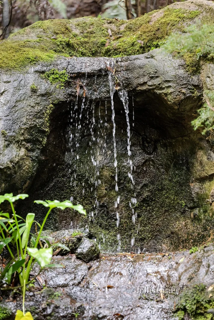 Additional image 26 of 269 Myers Creek Road, Healesville VIC 3777