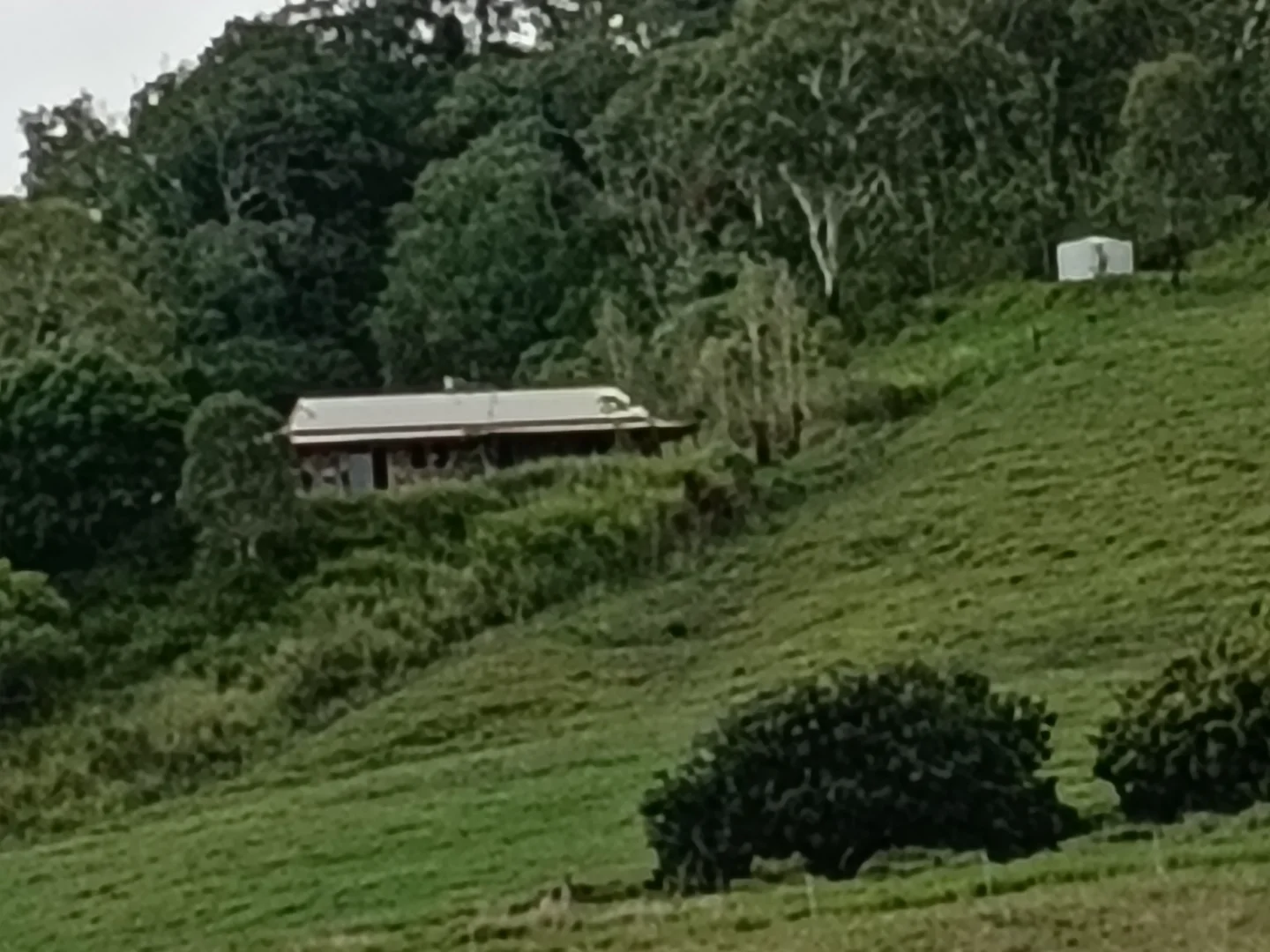 Additional image 9 of 109 Attards Road, Habana QLD 4740