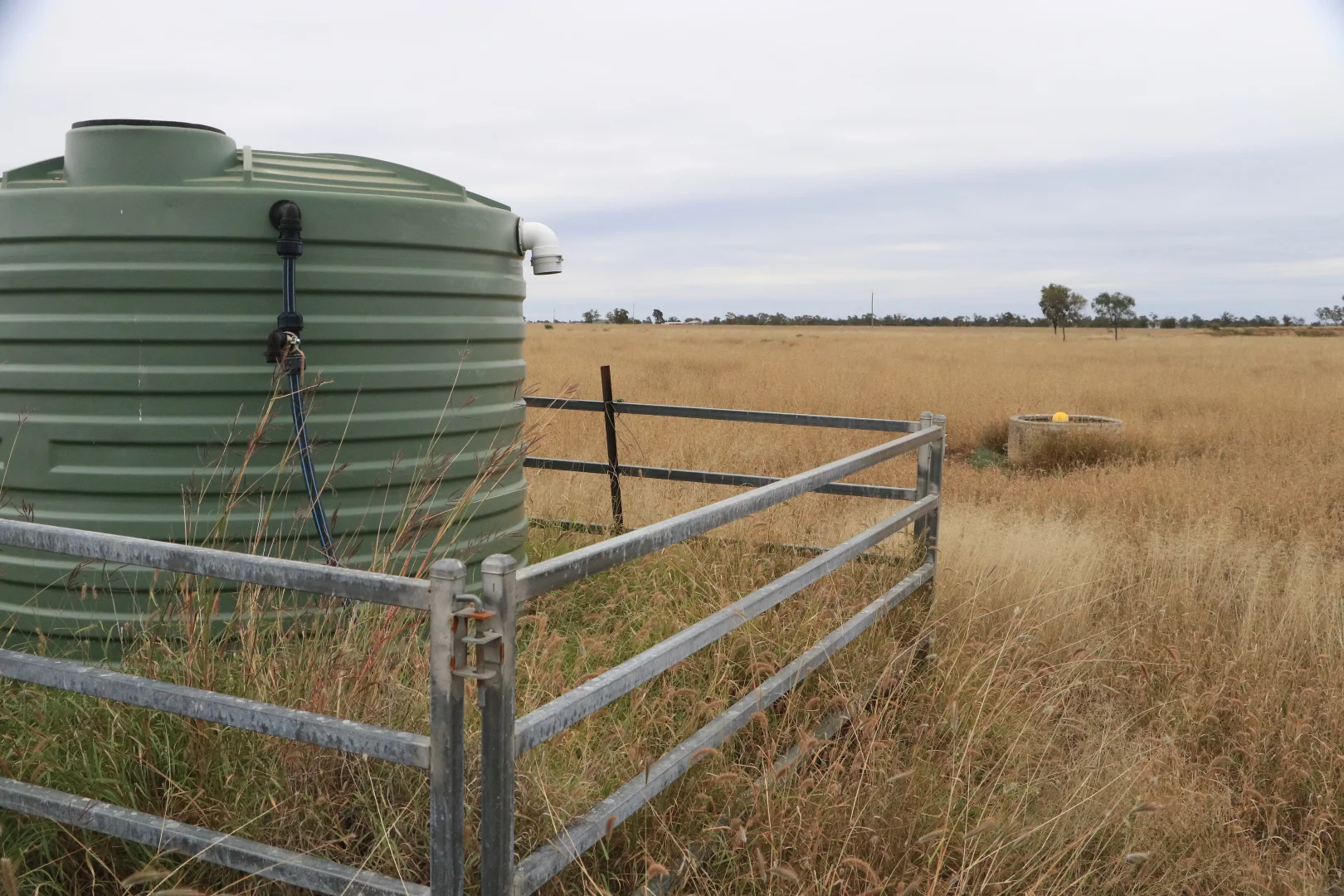 Additional image 8 of Ona Ona Road, Roma QLD 4455