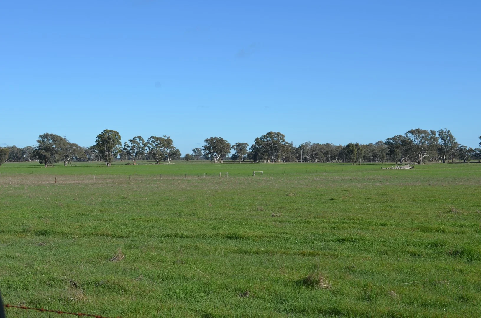 Additional image 17 of 260 Burns Munn Road, Edenhope VIC 3318