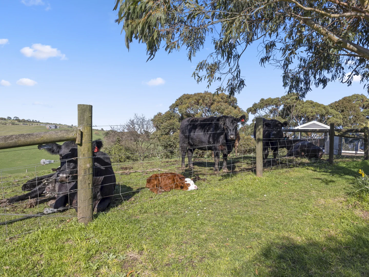 Additional image 20 of 134 Hairs Road, Kongwak VIC 3951