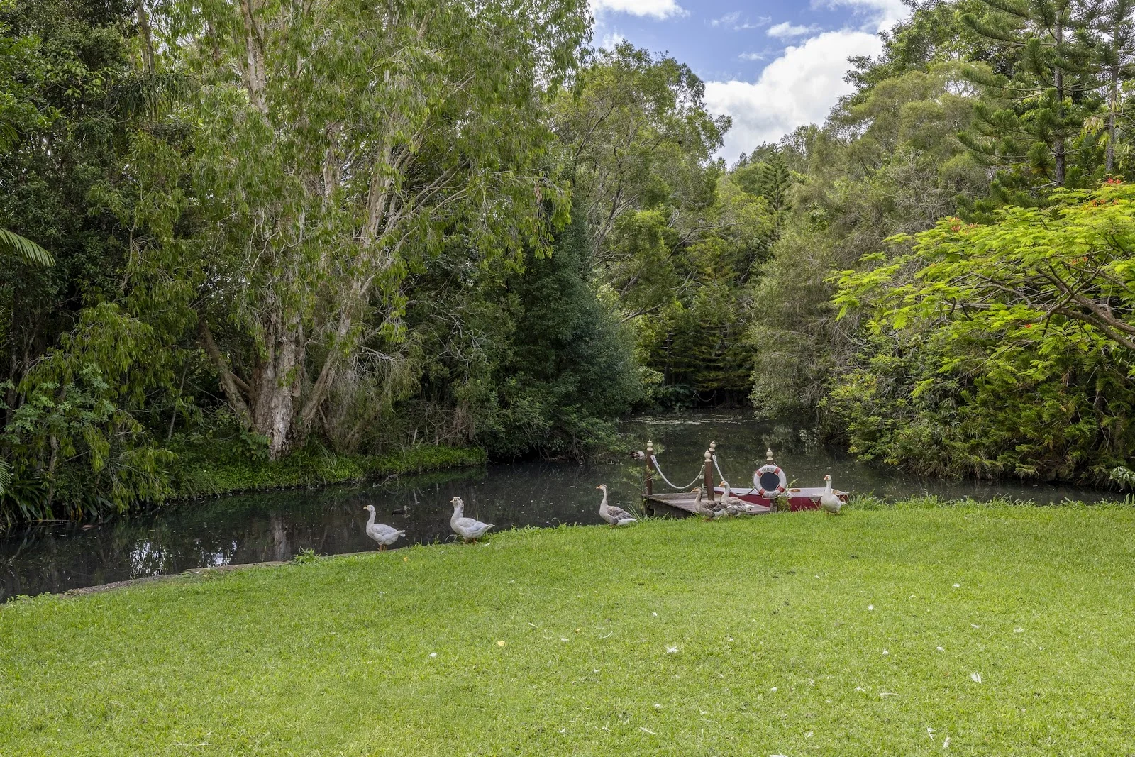 Additional image 24 of 61 Carter Road, Nambour QLD 4560