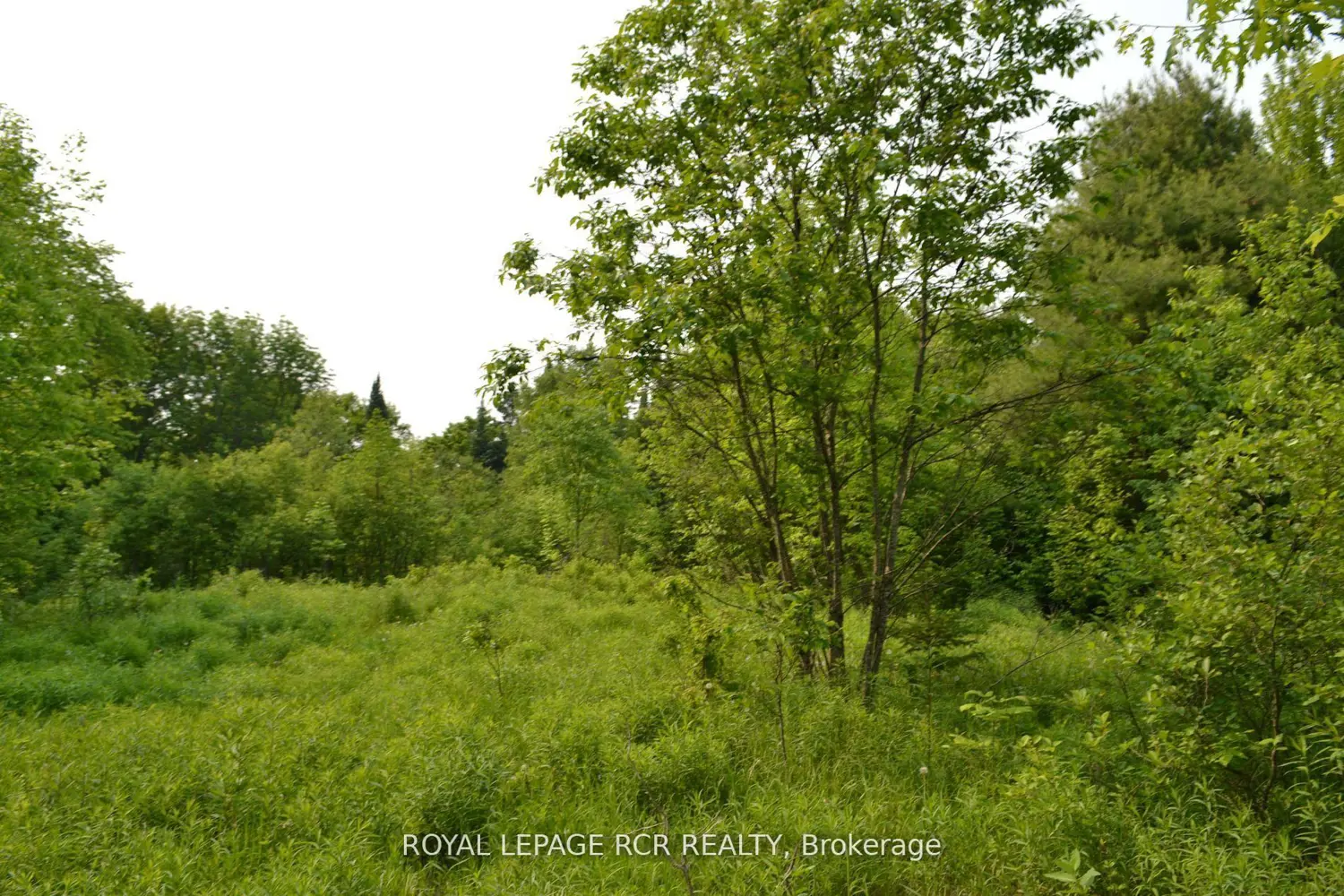 Additional image 6 of 1527 Madill Road