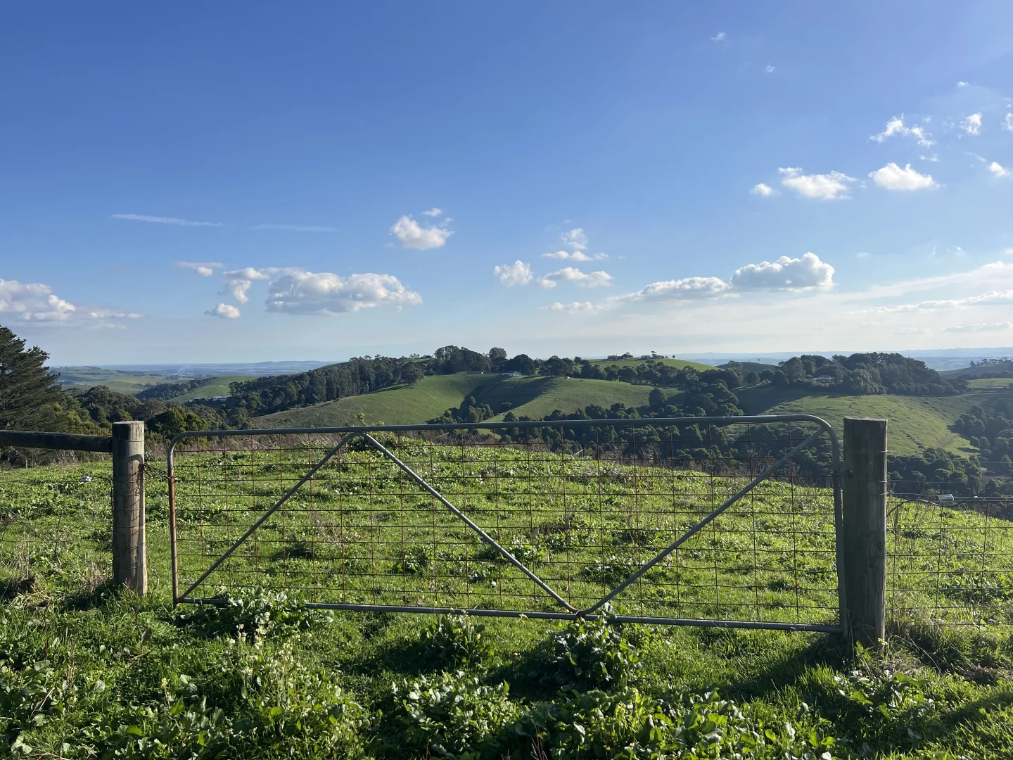 Additional image 9 of 478 Foster-Mirboo Road, Dollar VIC 3871