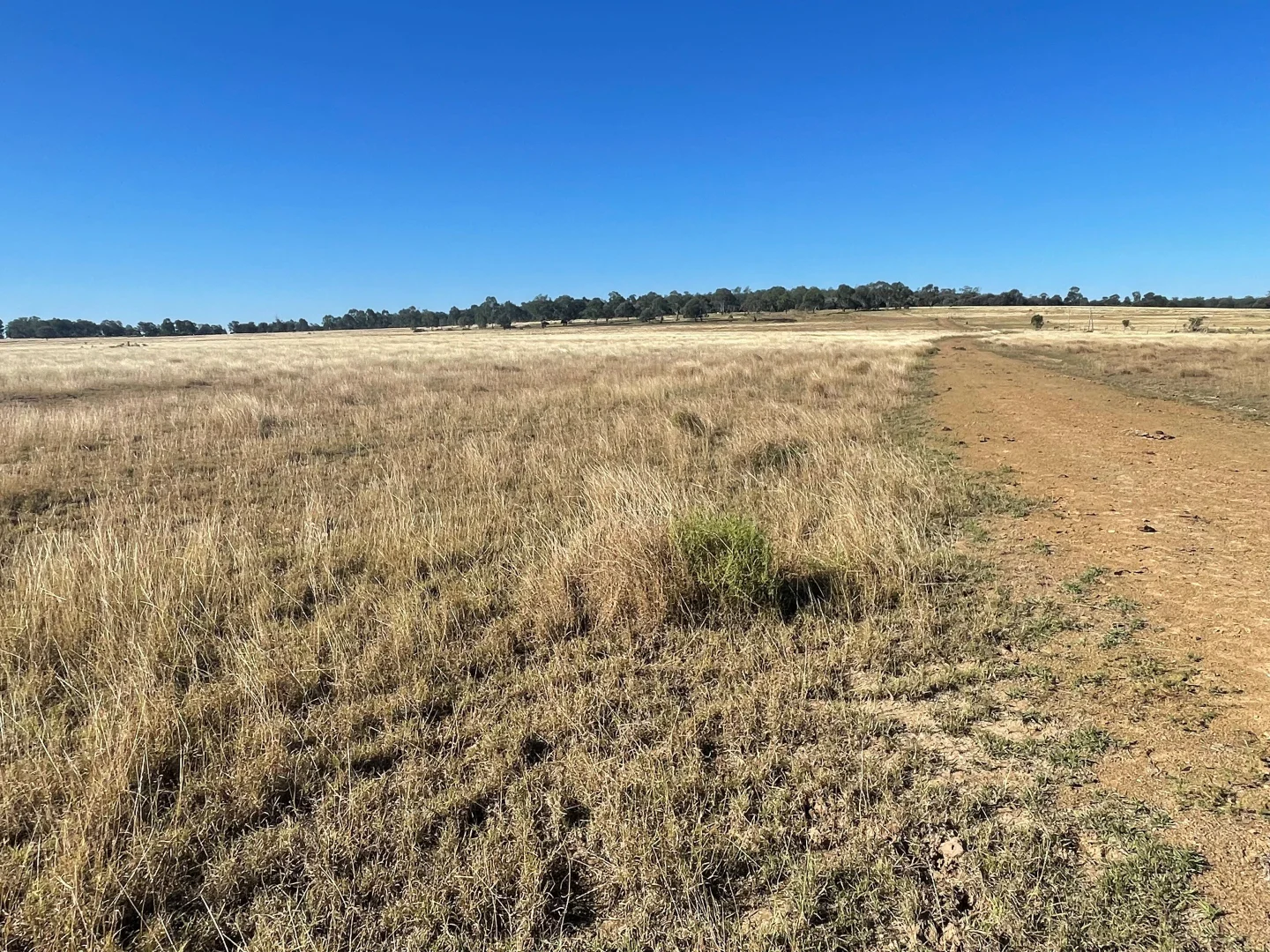 Additional image 22 of 780 Olinda Rd, Kokotungo QLD 4702