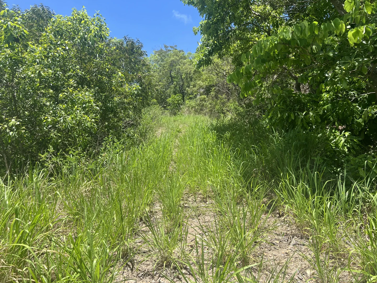 Additional image 5 of 13-15 Ann Street, Cooktown QLD 4895