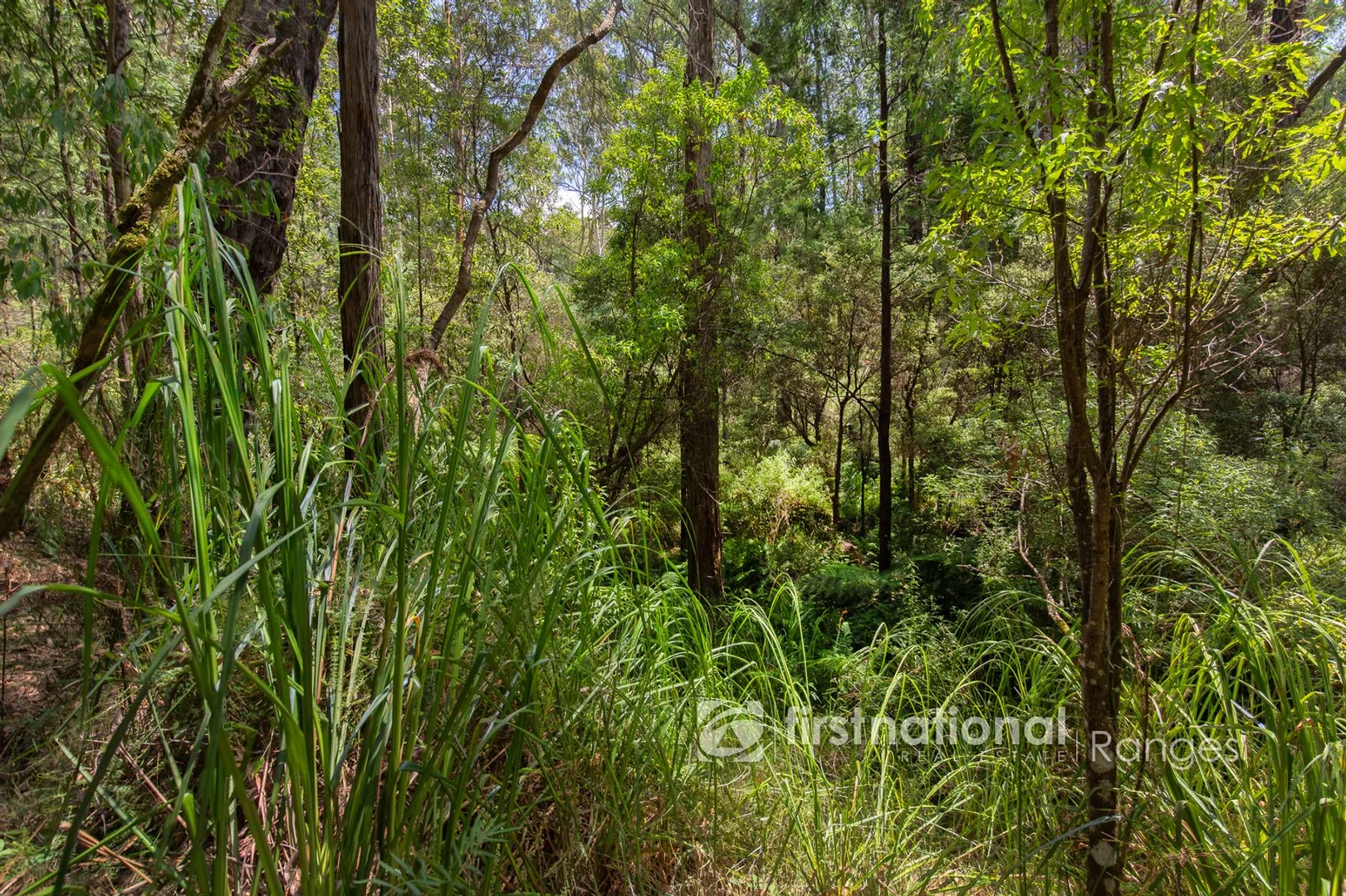 Additional image 8 of 2780 Gembrook-Launching Place Road, Gembrook VIC 3783