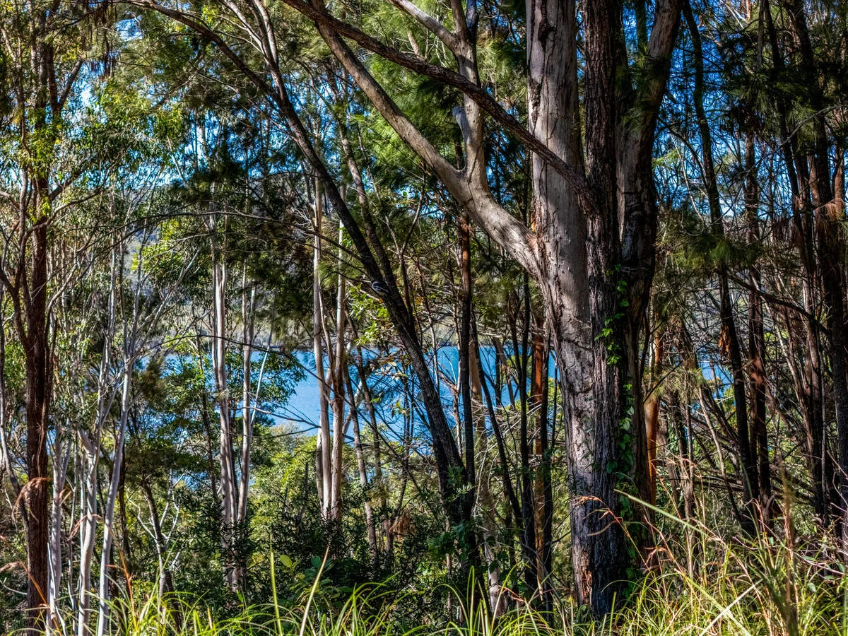 Additional image 3 of 129 Wahine Drive, Russell Island QLD 4184