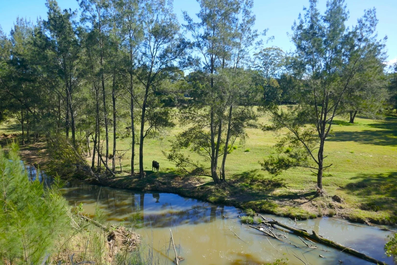 Additional image 11 of 1100 Iron Pot Creek & Ghinni Ghi Roads, Kyogle NSW 2474