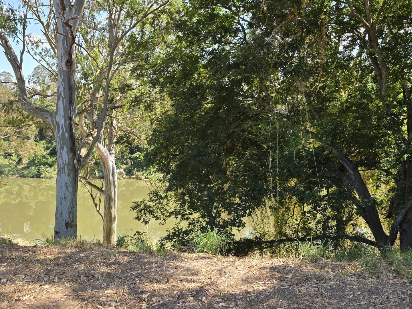 Additional image 5 of Karalee QLD 4306