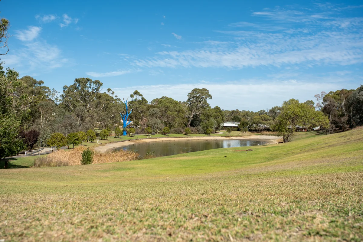 Additional image 21 of Lot 900 Sims Road & Paech Road, Mount Barker SA 5251