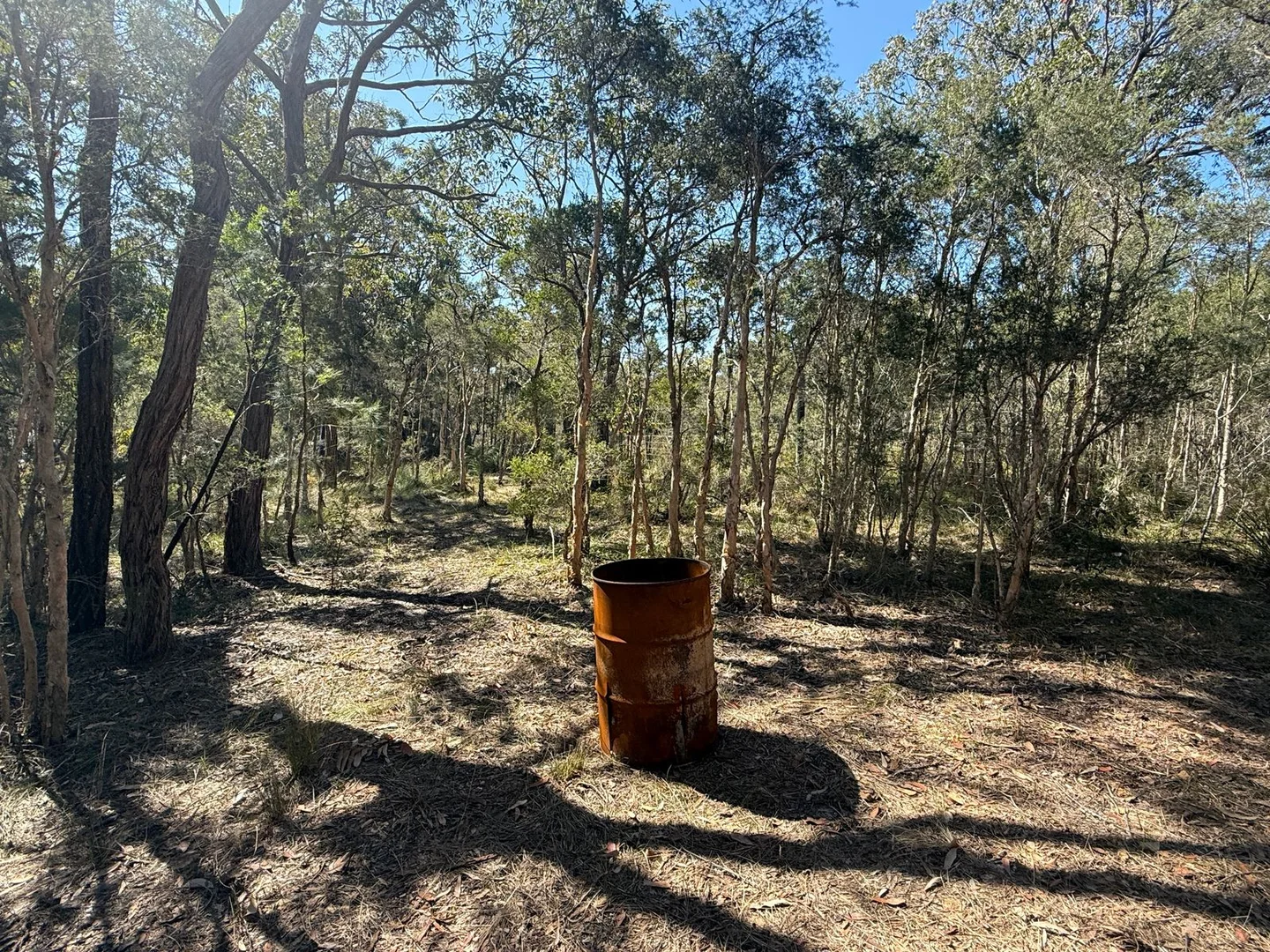 Additional image 4 of 37 Cove Avenue, Bundabah NSW 2324