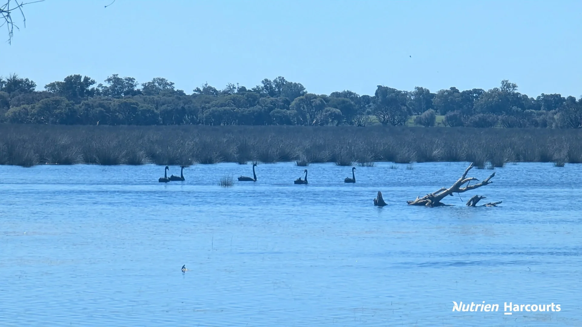 Additional image 17 of Lot 52 Cowalla Road, Cowalla WA 6503