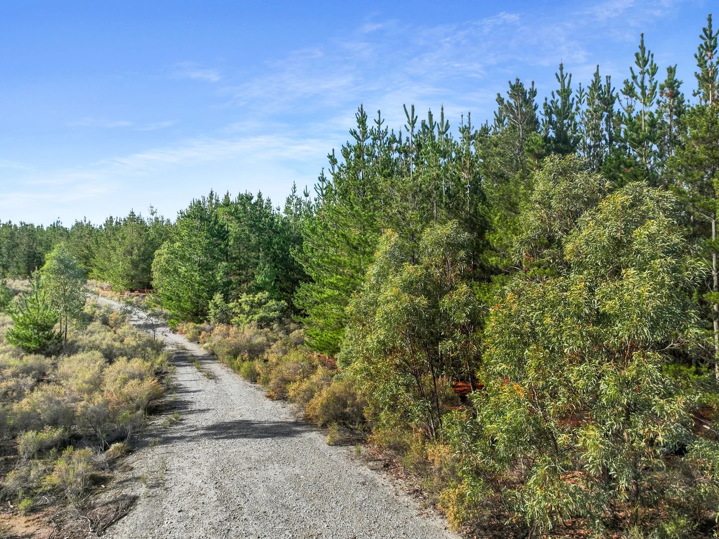 Additional image 8 of 3653 Arkstone Road, Burraga NSW 2795