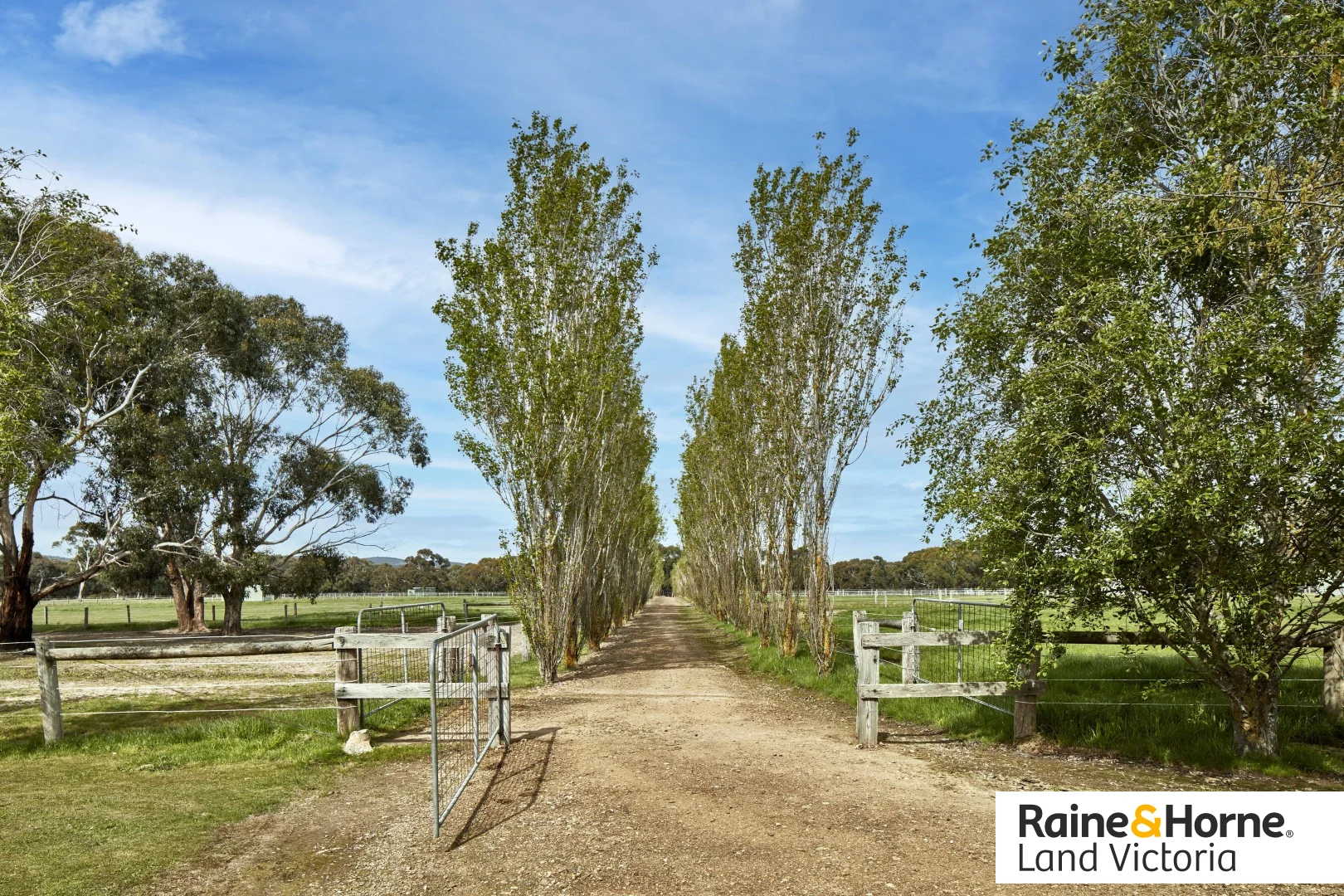 Additional image 9 of 96 Barringo Road, New Gisborne VIC 3438