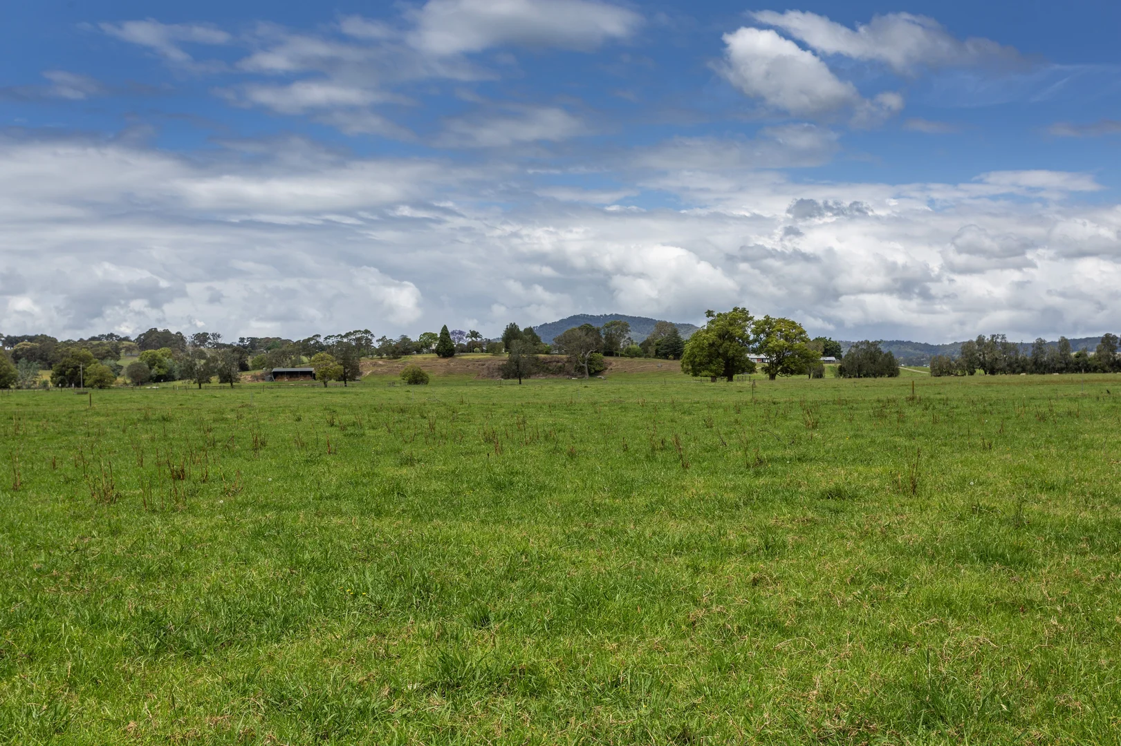 Additional image 8 of 639E coolangatta road, Berry NSW 2535