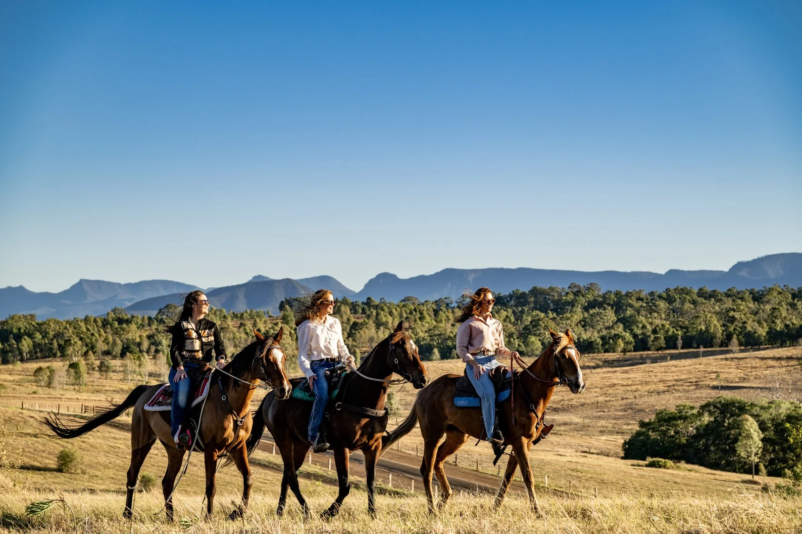 Additional image 2 of Lot 1,2,3,4 & 5 Rosewood-Warrill View Road, Coleyville QLD 4307
