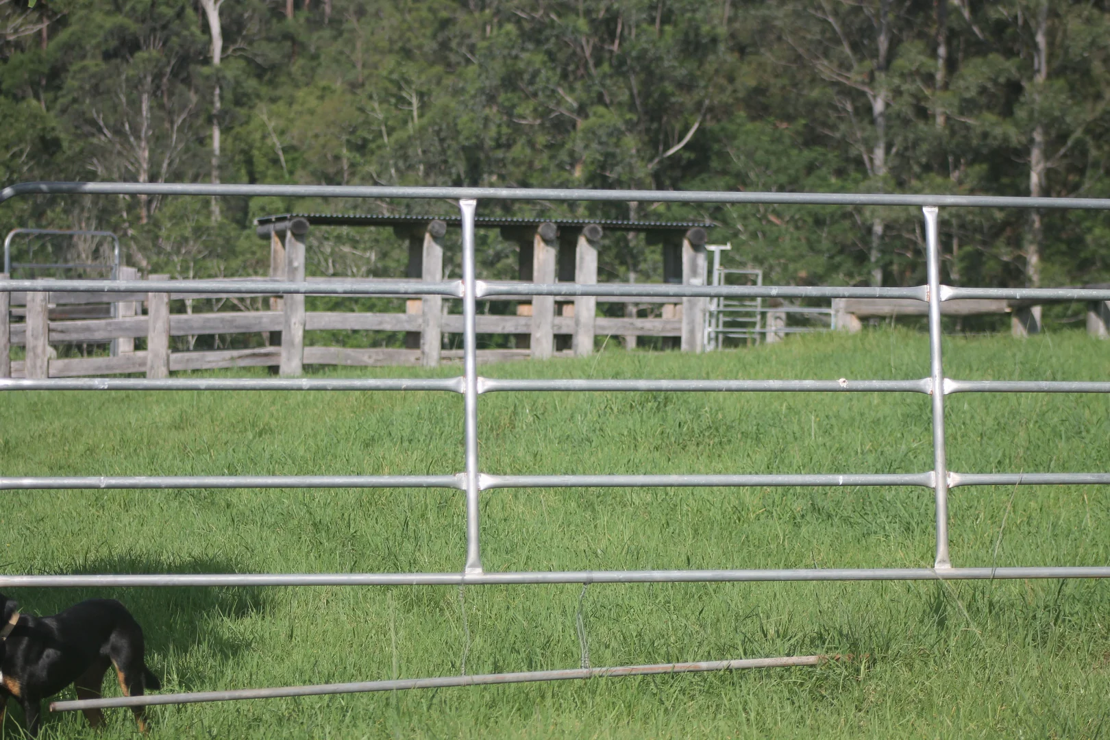 Additional image 18 of 71 SUNDOWNER ROAD, Bakers Creek NSW 2447