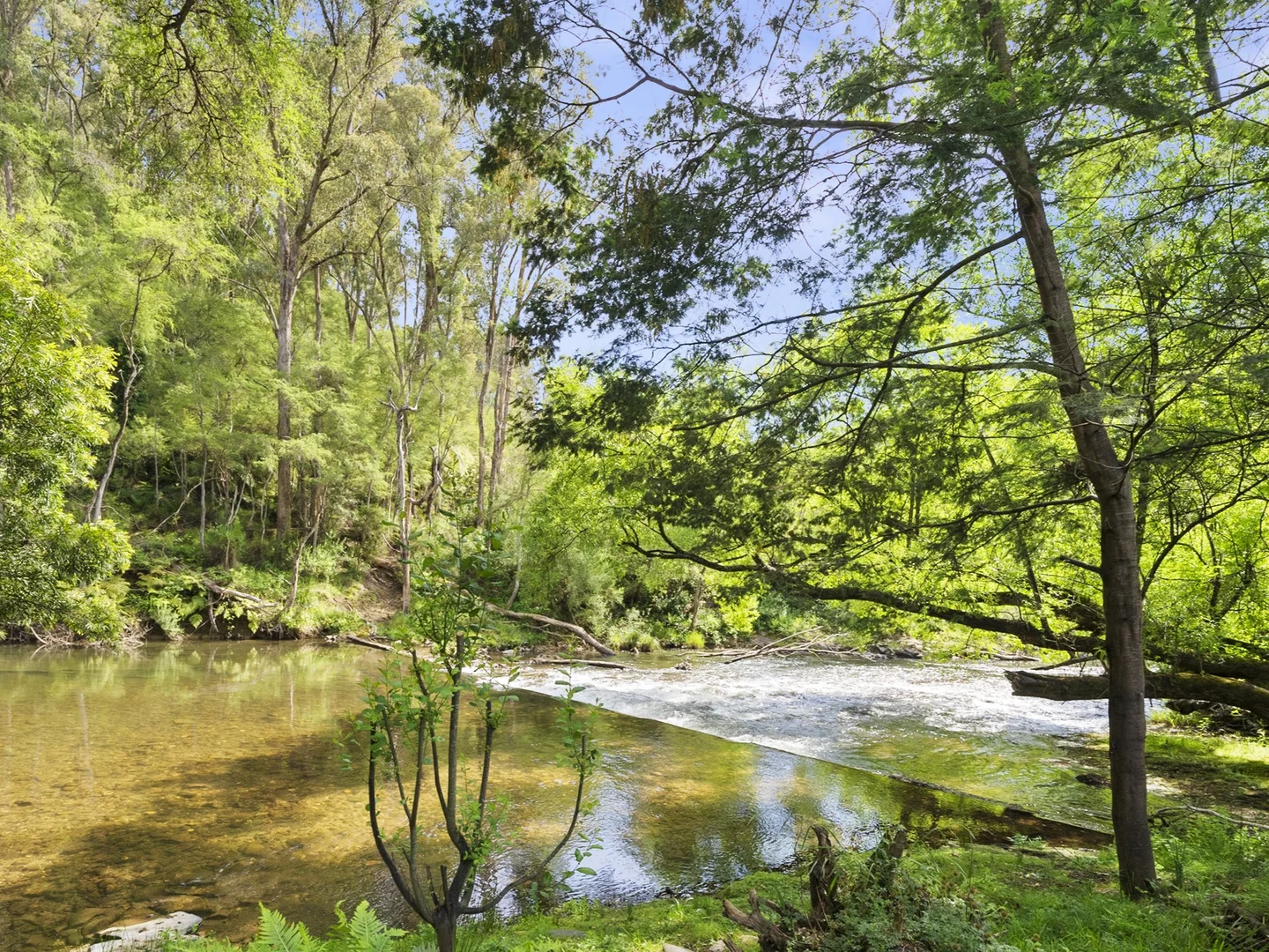 Additional image 21 of 4128 Mansfield-Woods Point Road, Jamieson VIC 3723