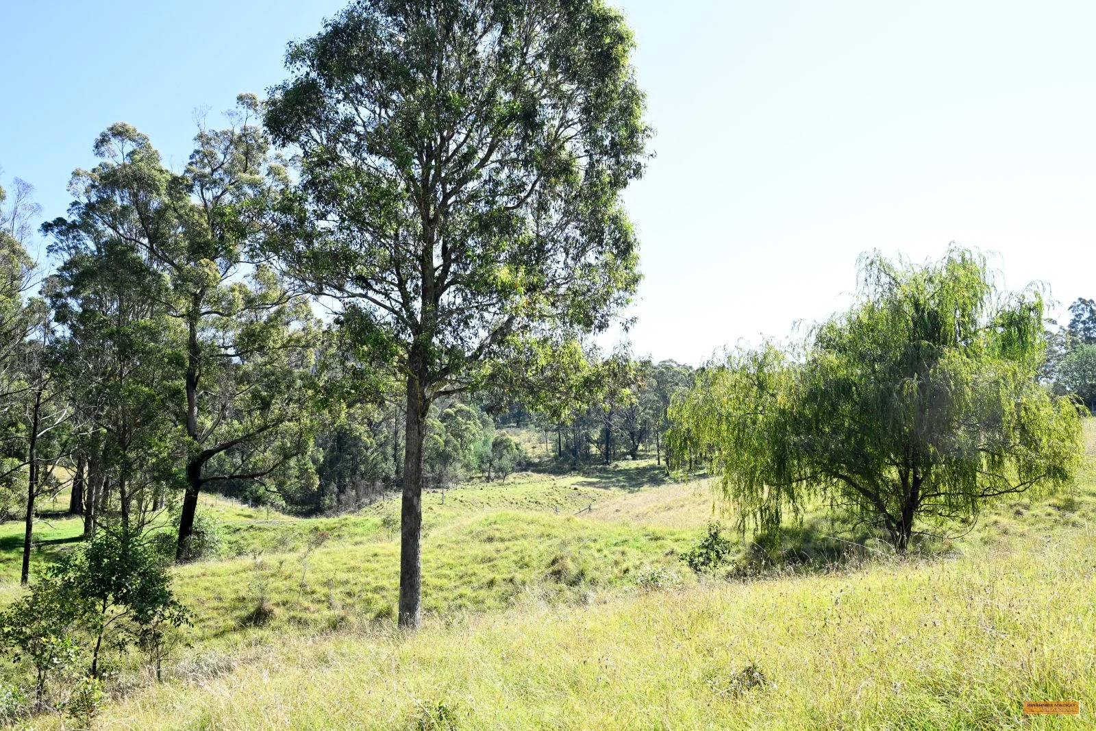 Additional image 20 of 281 Myrtle Mountain Road, Wyndham NSW 2550