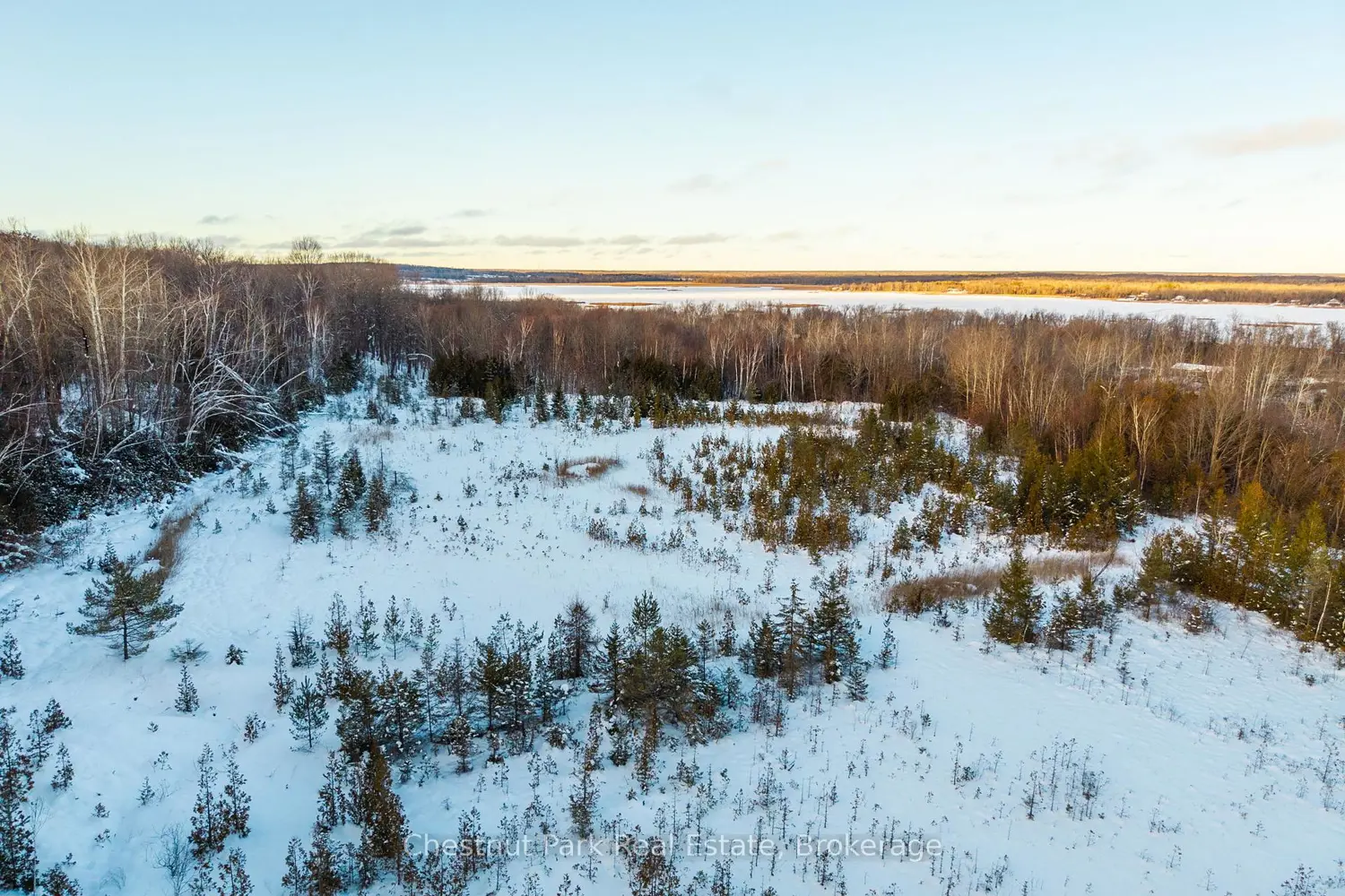 Additional image 18 of 2970 Fesserton Side Road