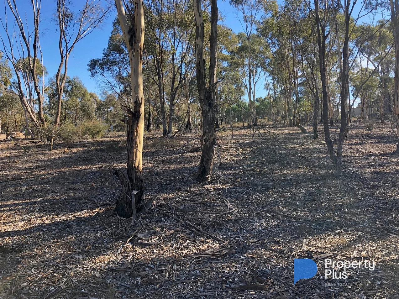 Additional image 22 of 1 Bendigo-Maryborough Road, Shelbourne VIC 3515