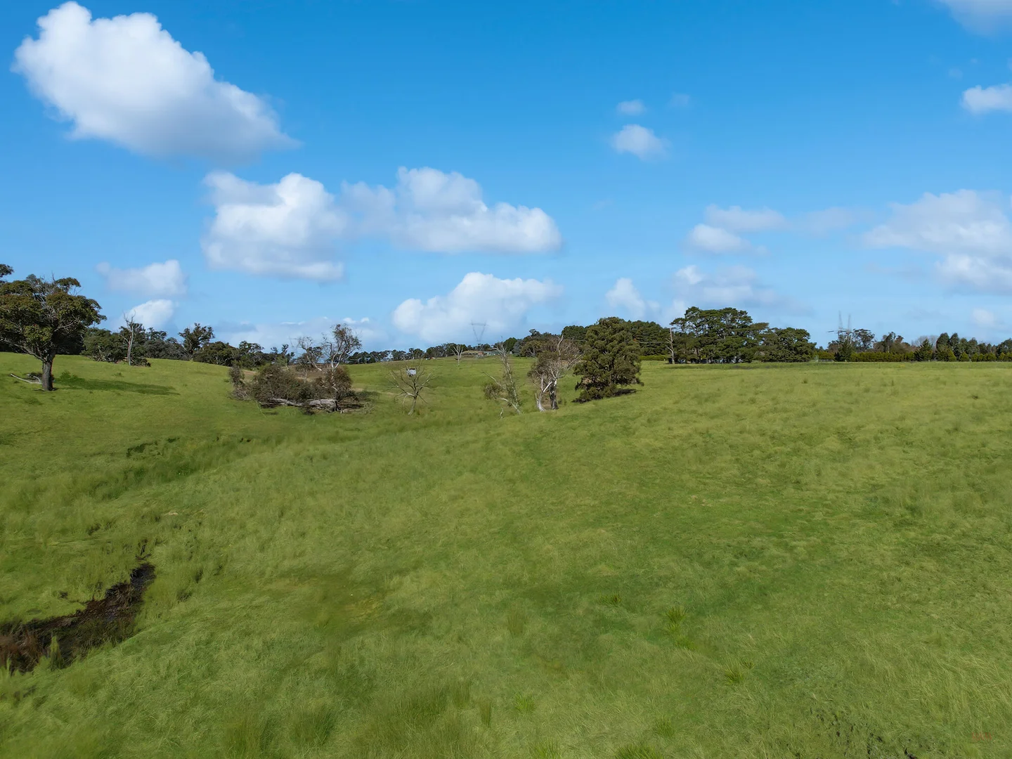 Additional image 41 of 551 Inverary Road, Paddys River NSW 2577