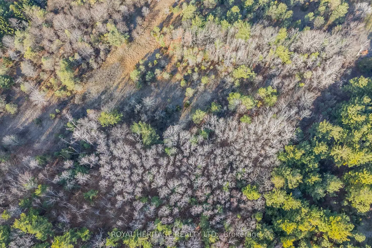 Additional image 8 of 0 County 25 Road