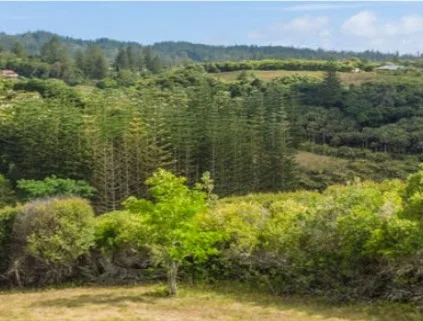 Additional image 2 of Ferny Lane, Norfolk Island NSW 2899