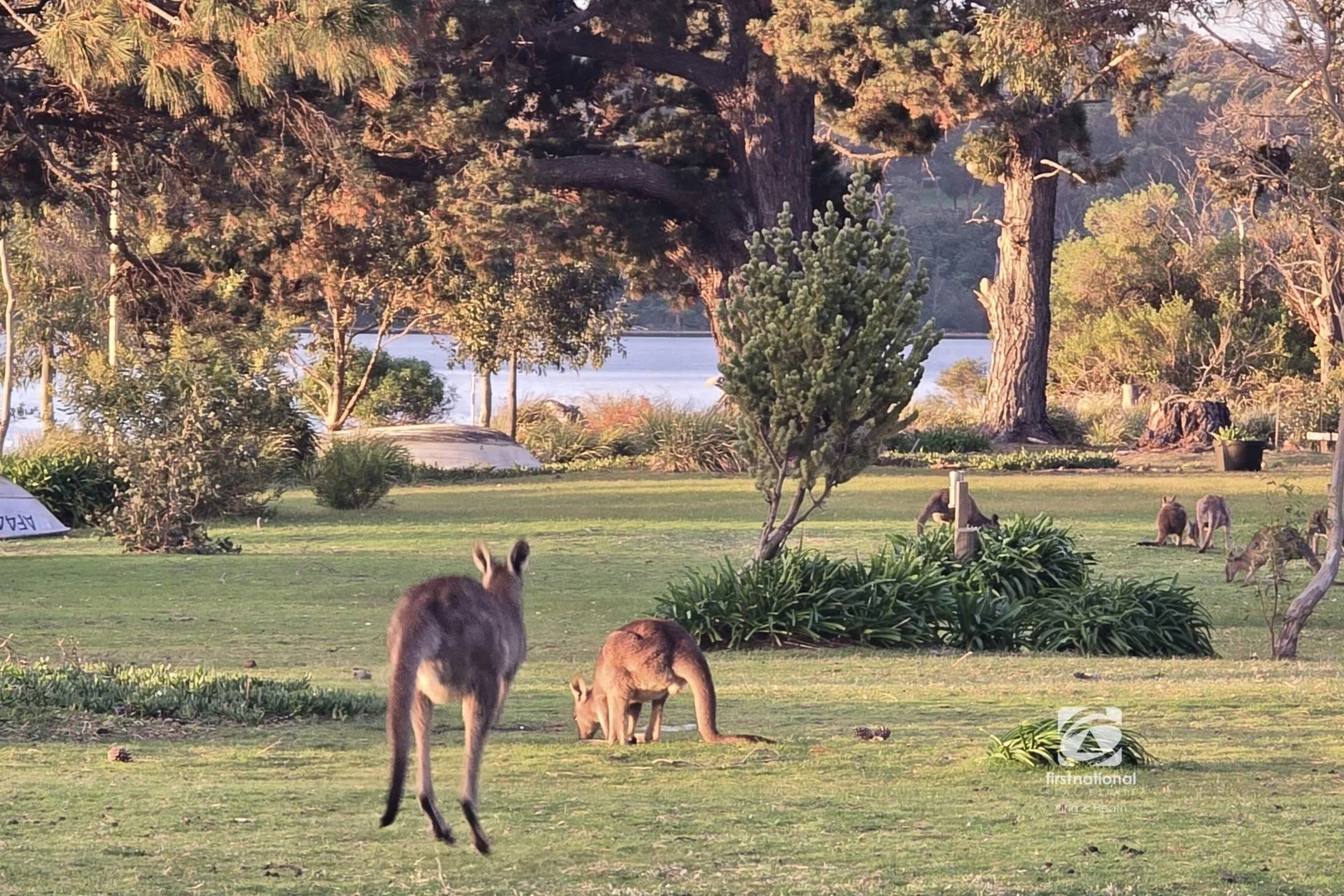 Additional image 25 of 12-14 Stowe Avenue, Boole Poole, Metung VIC 3904
