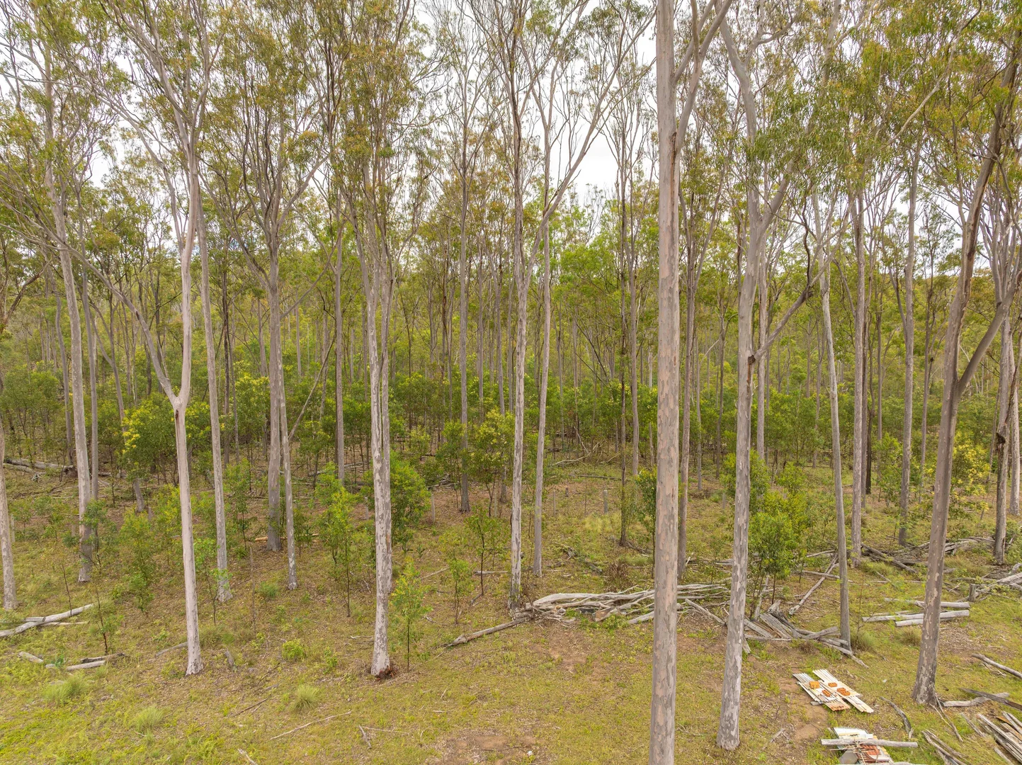 Additional image 21 of 754 Pedersens Road, Dangore QLD 4610