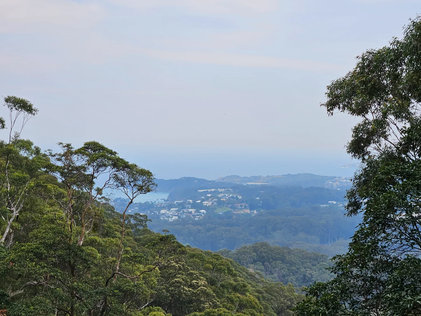 Additional image 13 of 56 Lovetts Road, Korora NSW 2450