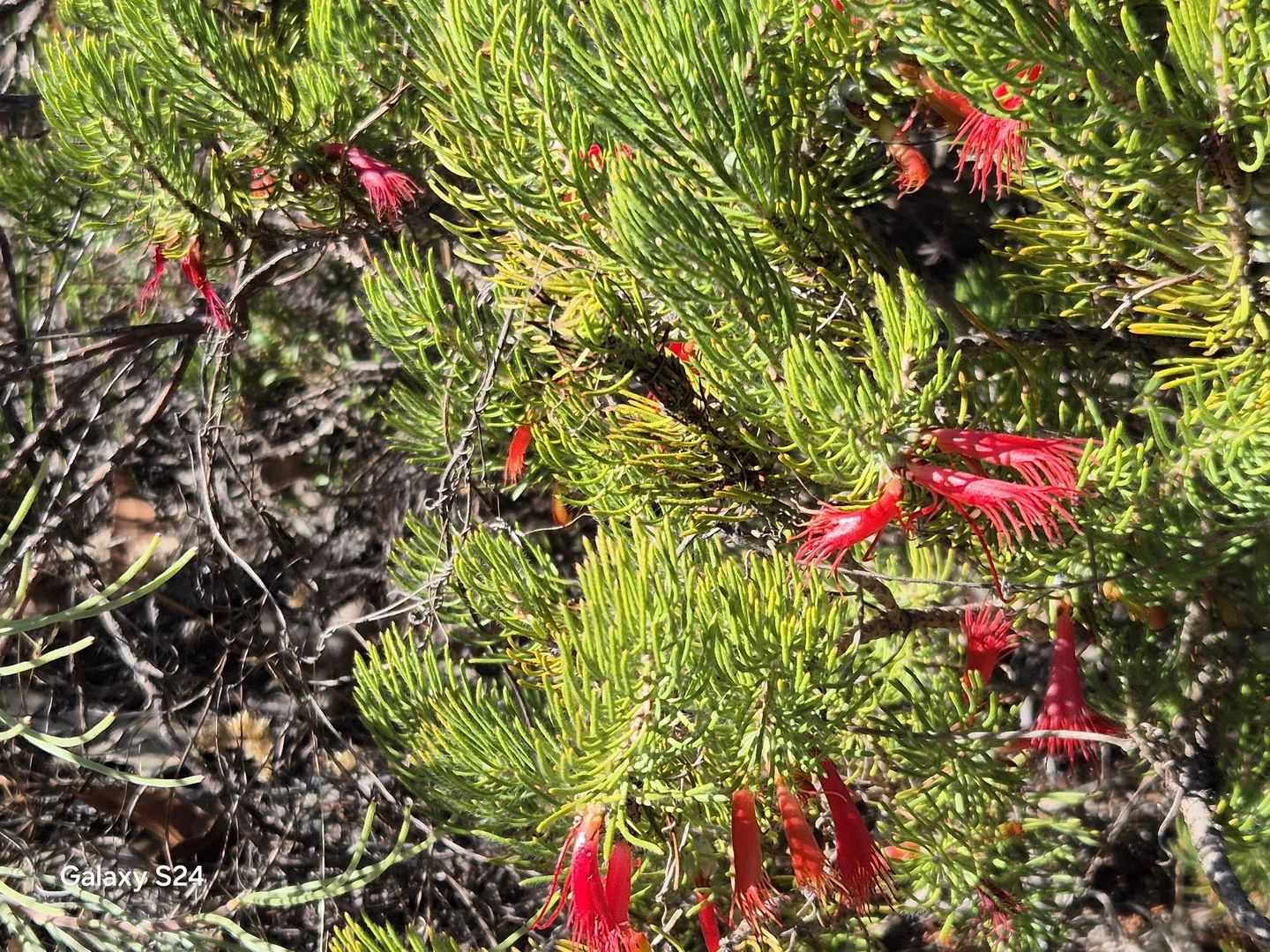 Additional image 7 of 777 Teatree Road, Bindoon WA 6502