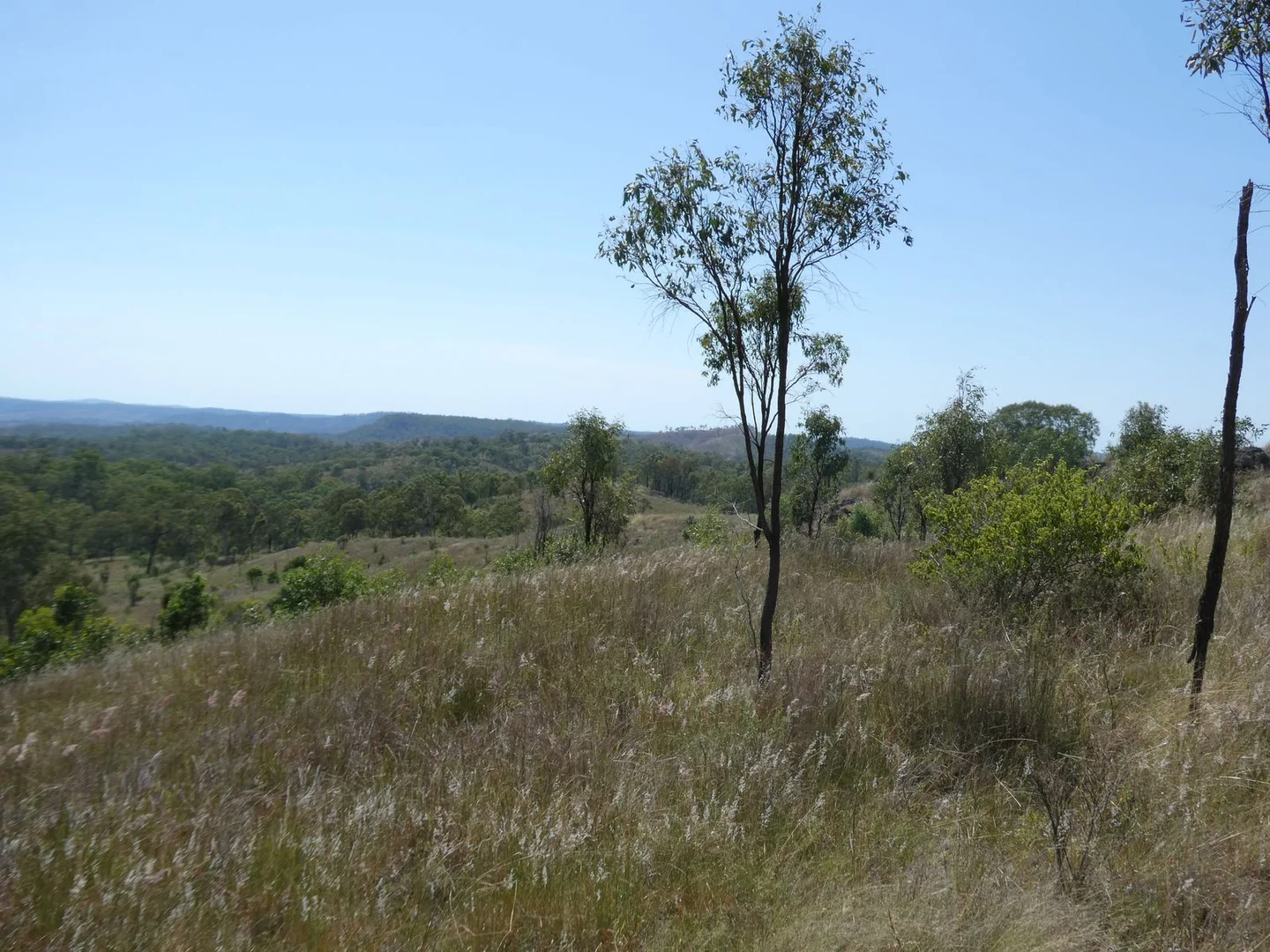 Additional image 15 of Lot 14 Monto Mount Perry Road, Mungy QLD 4671
