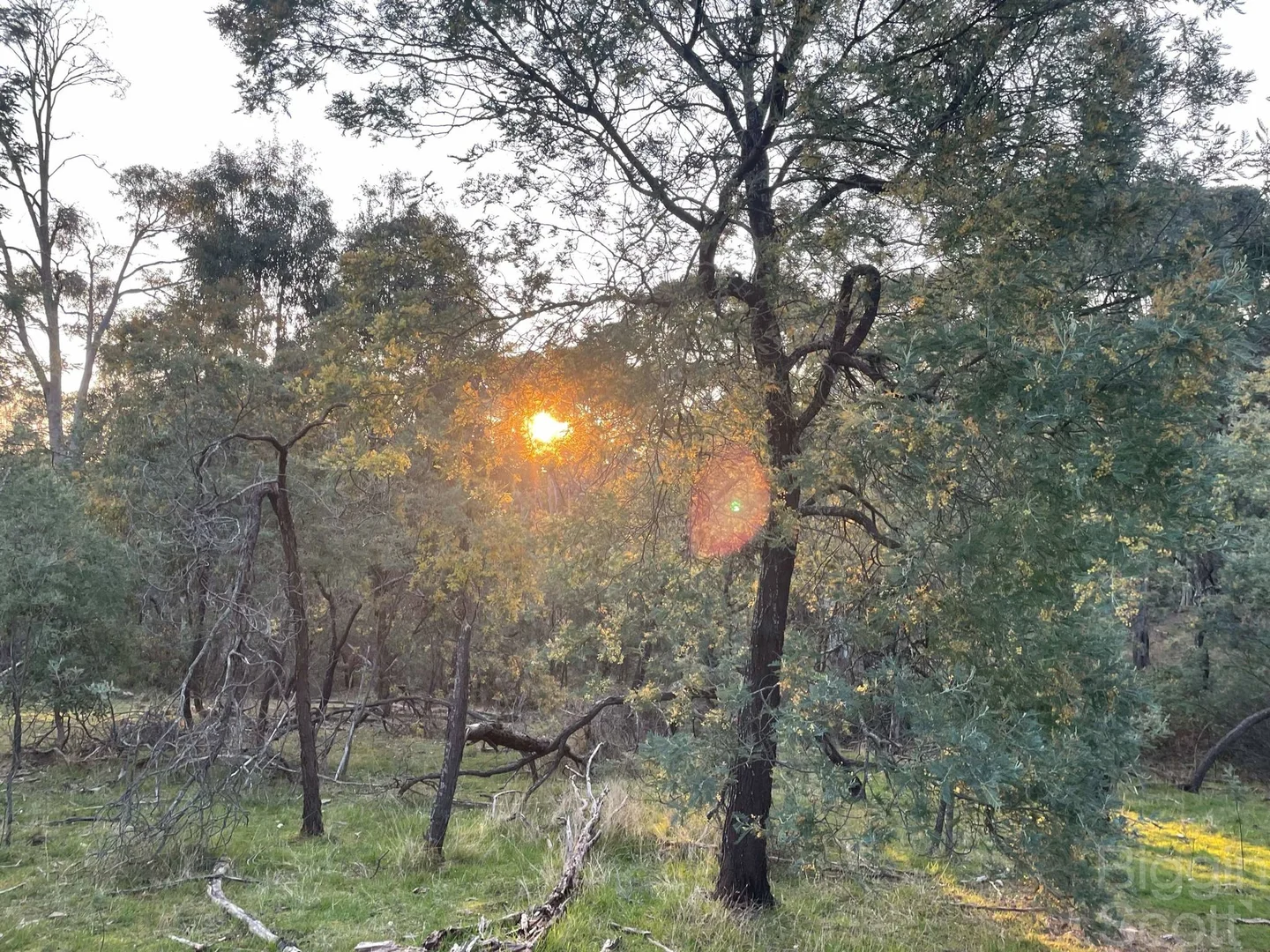 Additional image 5 of 210 & 230 Mannings Road, Dry Diggings VIC 3461